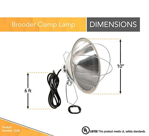 300 Watt 6 Foot Cord Clamp Lamp with 10 Inch Reflector and Bulb Guard