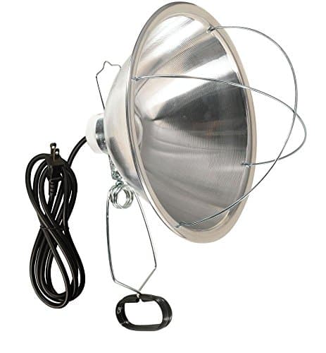 300 Watt 6 Foot Cord Clamp Lamp with 10 Inch Reflector and Bulb Guard