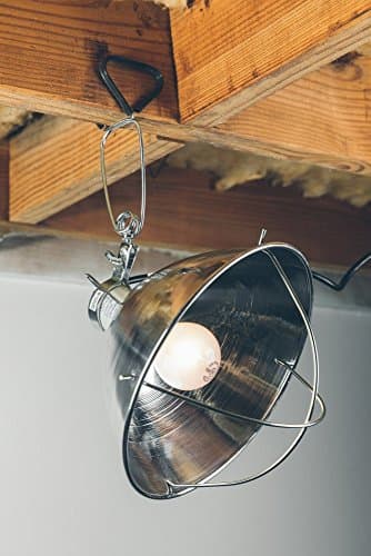 300 Watt 6 Foot Cord Clamp Lamp with 10 Inch Reflector and Bulb Guard