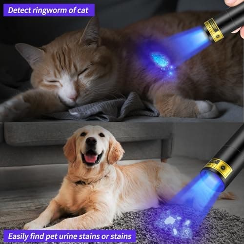 UV Rechargeable Blacklight for Pet Urine Detection