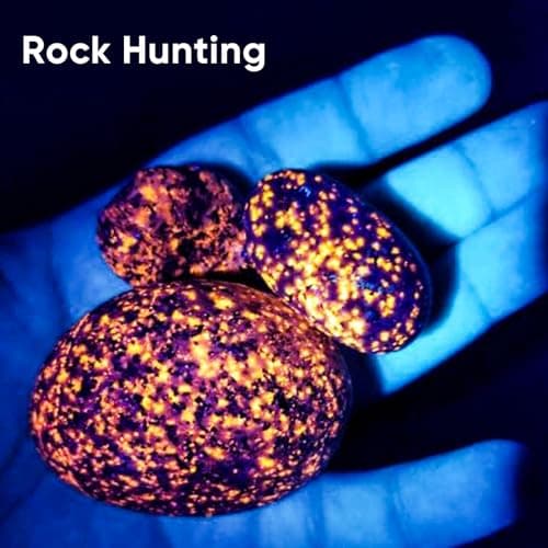UV Flashlight 20W, 5000Mah High Power 365nm UV Light, Rechargeable Black Light for Pet, Resin, Rocks, Travel, AC, Uranium Glass, Bed Bug