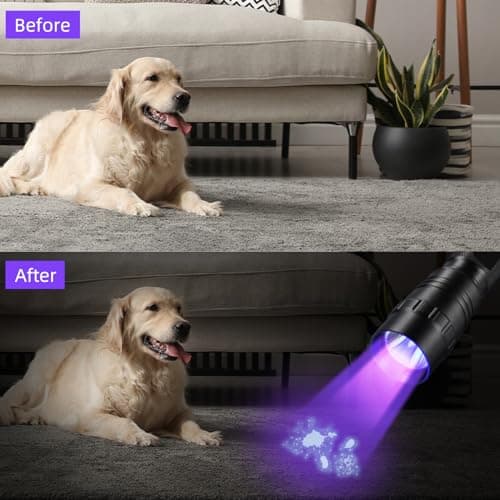 DARKBEAM UV Flashlight 395nm Blacklight, Powerful USB-C Rechargeable LED Ultraviolet Flashlight for Pet Urine Detection