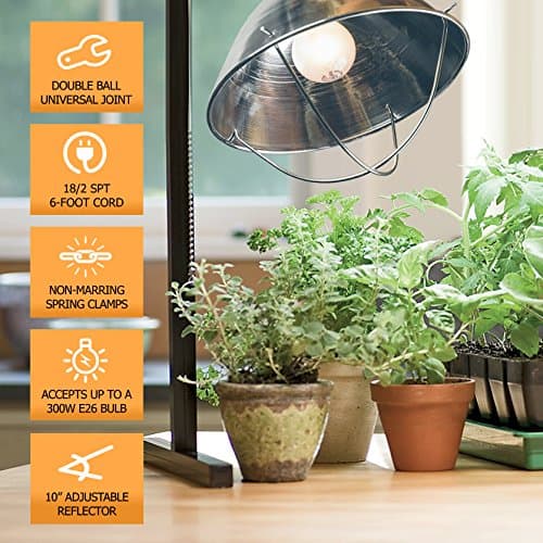 300 Watt 6 Foot Cord Clamp Lamp with 10 Inch Reflector and Bulb Guard